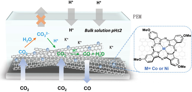 Table of contents graphic for Molecular Catalyst with Near 100\% Selectivity for CO2 Reduction in Acidic Electrolytes