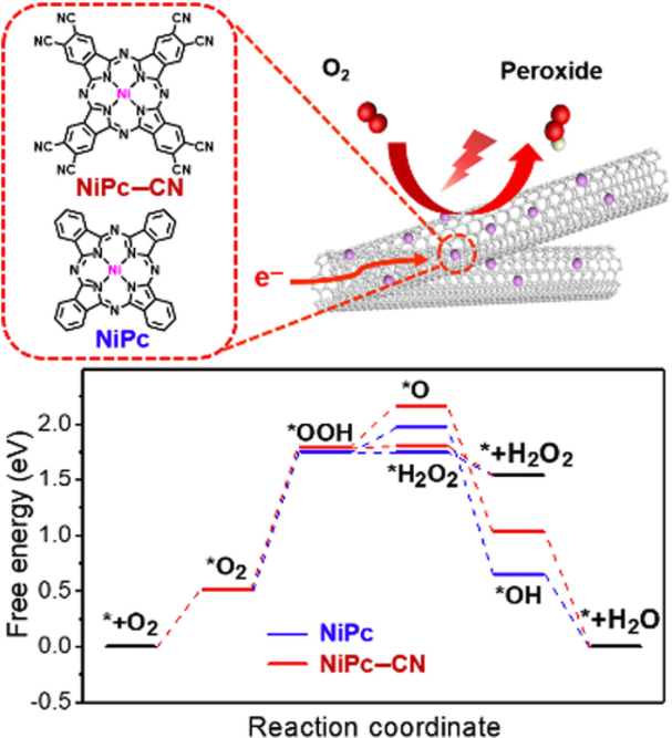 Table of contents graphic for Theory-driven design of electrocatalysts for the two-electron oxygen reduction reaction based on dispersed metal phthalocyanines