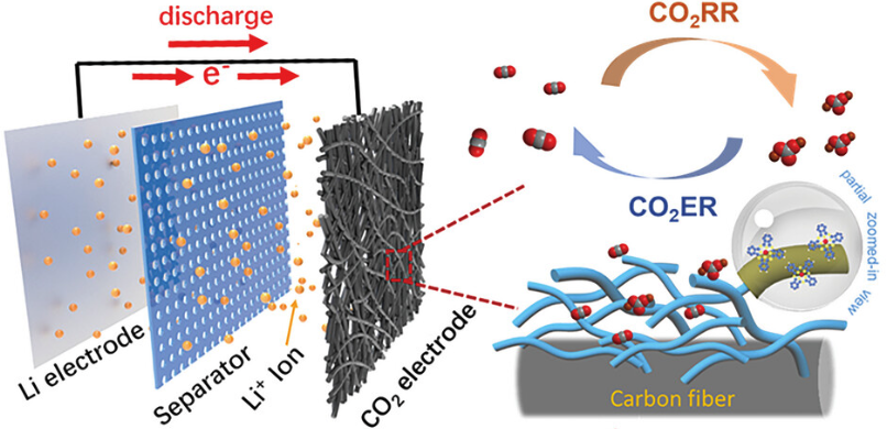 Table of contents graphic for Dispersed Nickel Phthalocyanine Molecules on Carbon Nanotubes as Cathode Catalysts for Li-CO2 Batteries